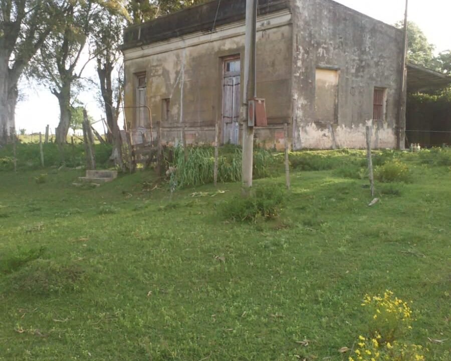 WhatsApp Image 2025-08-20 at 6.45.00 PM